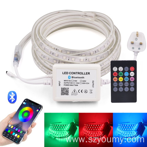 110V-240V 60LED RGB Strip Led Light